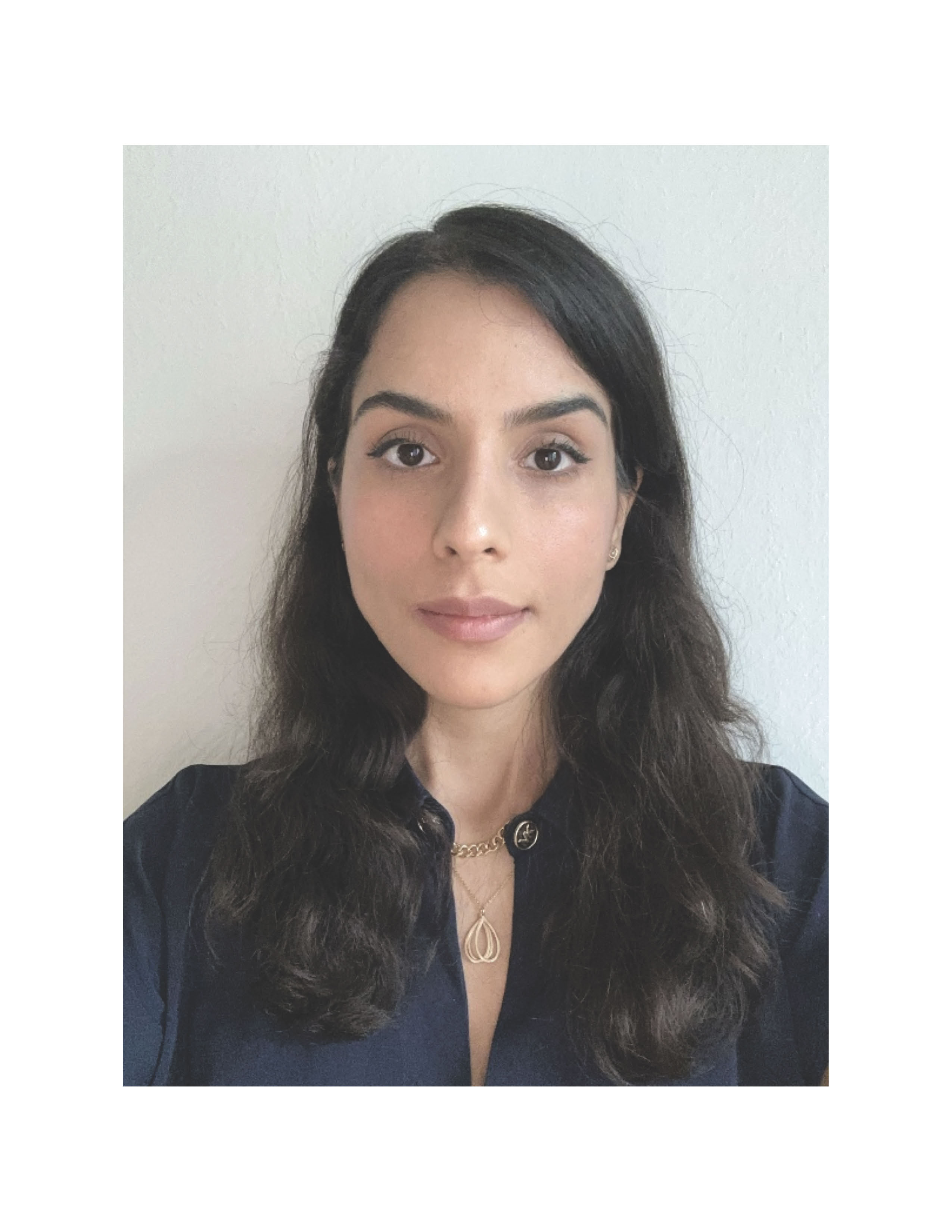 PHD Nazanin Nazemi