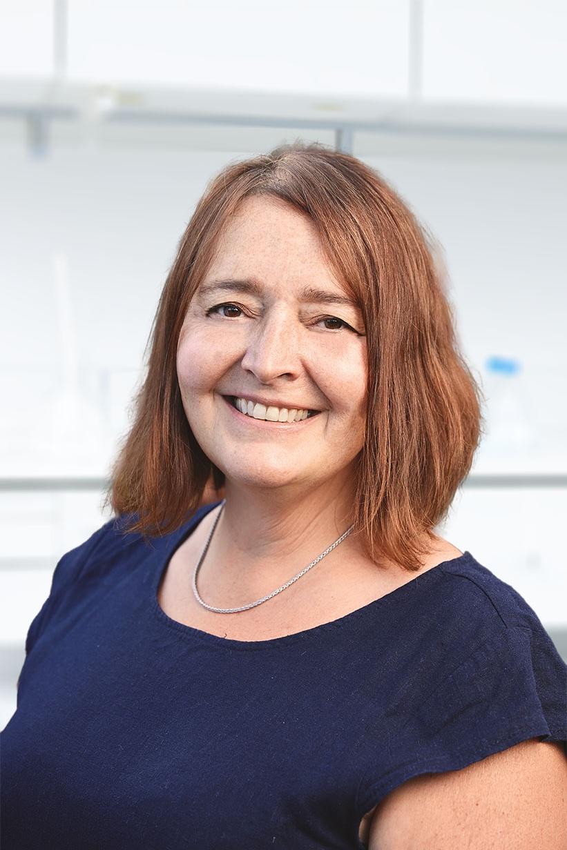 Prof. Dr. Deborah Stroka