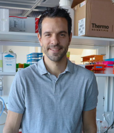 Prof. Dr. Alexander Eggel
