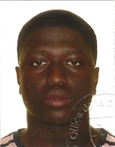  Mohamed Mansour Faye, MSc