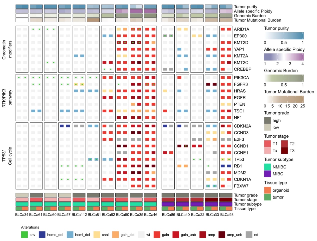 medical research institutes in switzerland